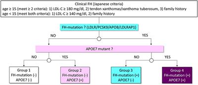 Prevalence and Impact of Apolipoprotein E7 on LDL Cholesterol Among Patients With Familial Hypercholesterolemia